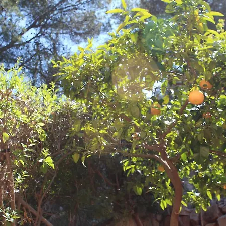 Bed & Breakfast Casa Del Silencio *
