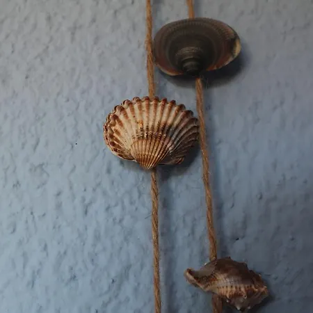 Casa Del Silencio *